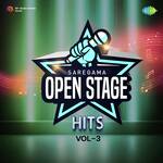 Open Stage Hits - Vol 3 - Prashant Chauhan Song Download